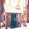 Holiday Shed Poster Print by Kelly Poynter # 10265N