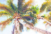 Sideway Watercolor Palms II Poster Print by Emily Navas # 10542A