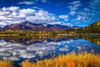 Mountain range reflects on Mentasta Lake with fall coloured foliage under blue sky, Tok cutoff from the Glenn Highway, South-central Alaska in autumn; Alaska, United States of America Poster Print by Sunny Awazuhara- Reed (19 x 12) # 33293894