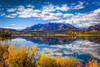 Mountain range reflects on Mentasta Lake with fall coloured foliage under blue sky, Tok cutoff from the Glenn Highway, South-central Alaska in autumn; Alaska, United States of America Poster Print by Sunny Awazuhara- Reed (19 x 12) # 33293892