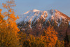 Sunset glow on snow dusted peak surrounded with fall coloured foliage, Chugach State Park, South-central Alaska in autumn; Anchorage, Alaska, United States of America Poster Print by Sunny Awazuhara- Reed (19 x 12) # 33293903