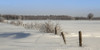 Winter landscape with snowy fields, fence and blue sky; Sault St Marie, Michigan, United States of America Poster Print by Susan Dykstra (30 x 15) # 12589979