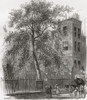 The Plane Tree, Wood Street, Cheapside, London, England in the 19th century  From London Pictures, published 1890 Poster Print by Hilary Jane Morgan (13 x 15) # 12576656