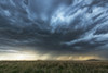 Rainfall in the distance on the prairies under ominous storm clouds; Saskatchewan, Canada Poster Print by Robert Postma (19 x 12) # 12577831