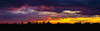 Dramatic sky at sunset with dark clouds and colourful light glowing above silhouetted trees; Bromont, Quebec, Canada Poster Print by David Chapman (38 x 12) # 12579169