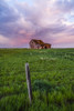Abandoned barn on farmland with storm clouds glowing pink; Val Marie, Saskatchewan, Canada Poster Print by Robert Postma (12 x 19) # 12577805