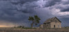 A forked lightning bolt descends from a weak thunderstorm near an abandoned building; Guymon, Oklahoma, United States of America Poster Print by Stuart Short (20 x 9) # 12589965