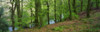 County Wicklow, Ireland Poster Print by The Irish Image Collection (34 x 11) # 1813525