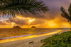 Sunrise viewed from Lanikai Beach with a view of the Mokulua Islands off the coast; Oahu, Hawaii, United States of America Poster Print by 770 Productions (19 x 12) # 13612806