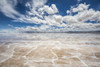 Salar de Uyuni, the world's largest salt flat, during the wet season (December-February); Potosi Department, Bolivia Poster Print by Peter Langer (19 x 12) # 13612761