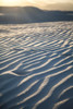 Dune detail at White Sands National Monument; Amalogordo, New Mexico, United States of America Poster Print by Blake Kent (12 x 19) # 12600914
