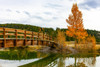 Wooden footbridge over a tranquil pond in autumn, Banff National Park; Banff, Alberta, Canada Poster Print by The Nature Collection (19 x 12) # 12575601