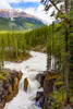 Sunwapta Falls, Sunwapta River, Jasper National Park; Alberta, Canada Poster Print by The Nature Collection (12 x 19) # 12575499