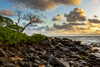 Sunrise over the Pacific Ocean from the rocks on the shore of Kauai; Kauai, Hawaii, United States of America Poster Print by The Nature Collection (19 x 12) # 12575756