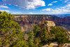 North Rim, Grand Canyon, Grand Canyon National Park; Arizona, United States of America Poster Print by The Nature Collection (19 x 12) # 12575530