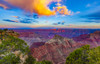 North Rim of the Grand Canyon at sunset; Arizona, United States of America Poster Print by The Nature Collection (19 x 12) # 12575501