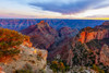North Rim of the Grand Canyon at sunset; Arizona, United States of America Poster Print by The Nature Collection (19 x 12) # 12575502
