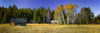 Panorama of an old building in an aspen grove in autumn; Canada Poster Print by The Nature Collection (38 x 12) # 12575046