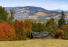 Autumn coloured foliage in the Okanagan Valley; British Columbia, Canada Poster Print by The Nature Collection (18 x 12) # 12575045
