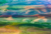 Colourful rolling hills of farmland around the Palouse region in Eastern Washington; Washington, United States of America Poster Print by The Nature Collection (19 x 12) # 12575646