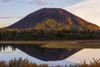 Donnelly Dome reflects in Donnelly Lake at sunrise in the autumn; Alaska, United States of America Poster Print by Steven Miley (19 x 12) # 12573794