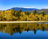 Autumn coloured forest along a tranquil lake in the Cascades; British Columbia, Canada Poster Print by The Nature Collection (17 x 14) # 12574329