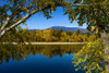 Autumn coloured forest along a tranquil lake in the Cascades; British Columbia, Canada Poster Print by The Nature Collection (19 x 12) # 12574328