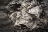 Patterns Are Found In The Driftwood At Willapa Bay On The Washington Coast; Bay Center, Washington, United States Of America Poster Print by Robert L Potts (19 x 12) # 12281042