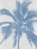 Denim Palms II Poster by Urban Road (18 x 24)