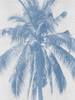 Denim Palms I Poster by Urban Road (18 x 24)