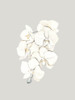 Beige Lilies Poster by Urban Road (18 x 24)