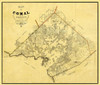 Comal County Texas - Rosenberg 1862 by Rosenberg (12 x 10)
