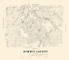 Dimmit County Texas - Walsh 1879 by Walsh (12 x 10)
