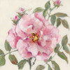 So Sweet II by Sally Swatland (12 x 12)