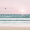 Pinky Beach With Birds 2 by Leah Straatsma (24 x 24)