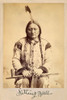 Sitting Bull - Lakota Sioux Tribe Chief-1884 by Palmquist And Jurgens (16 x 24)