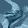 Unfolded Secret I by PI Studio (12 x 12)