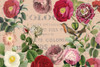 Dusty Rose by Lula Bijoux and Company (24 x 18)