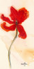 Tulipe III by Marthe (12 x 24)