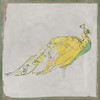 Exotic Bird II by Cartissi (12 x 12)