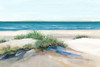 Beach Sand Dune II by Isabelle Z (24 x 18)