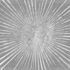 Silver Sunburst I by Wild Apple Portfolio (24 x 24)