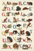 Schoolhouse Alphabet by Wild Apple Portfolio (18 x 24)