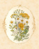 Gentle Soul Bouquet I by Wild Apple Portfolio (18 x 24)