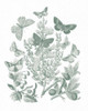 Butterfly Bouquet II Sage by Wild Apple Portfolio (18 x 24)