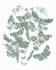 Butterfly Bouquet IV Sage by Wild Apple Portfolio (18 x 24)
