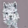 Alpaca Punch by Michele Norman (12 x 12)