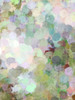 Color Expression III by Irena Orlov (18 x 24)