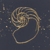 Gold Nautilus II by Chris Paschke (24 x 24)