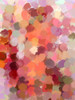 Bohemian Color Expression VII by Irena Orlov (18 x 24)